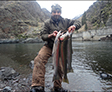 The winning fish for both the longest fish 31-3/4" and the heaviest combined three fish 22, 15lbs, by Daniel Jacobson of La Grande, OR.